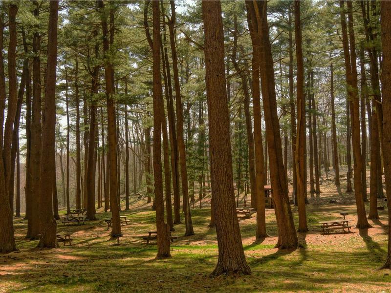 sudoku commute game screenshot 5